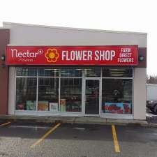 Nectar Flowers | 2784 Lancaster Rd unit c, Ottawa, ON K1B 4S4, Canada