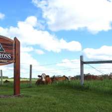 Applecross Cattle - Dennis & Jeanne Small | 36571, Range Rd 21, Red Deer County, AB T4G 0M9, Canada