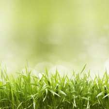 Turfrain Sprinklers & Irrigation Systems | 8310 Ninth Line, Norval, ON L0P 1K0, Canada