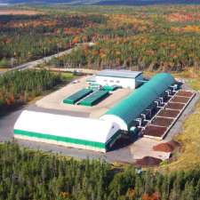 New Era Farms | 61 Evergreen Pl, Goodwood, NS B3T 1P2, Canada