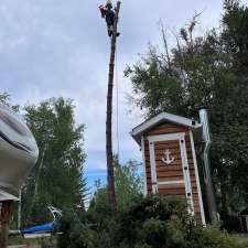 Nordic Tree Care | 13 Ken Richie Way, Canmore, AB T1W 2T5, Canada