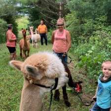 Stoneleigh Farm Alpacas | 9556 Charlton Dr, Denfield, ON N0M 1P0, Canada