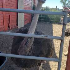 Free to be Me Animal Sanctuary | Moose Jaw No. 161, SK S0H 0N0, Canada