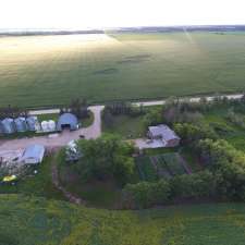 L Plett Farms inc | Rd 2 E Morweena, Arborg, MB R0C 0A0, Canada