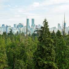 Peak Trees | 6566 Pinehurst Dr, Vancouver, BC V5X 4P1, Canada