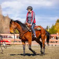 Phoenix Equestrian | Happy Valley Rd, Victoria, BC V9C 3Z3, Canada
