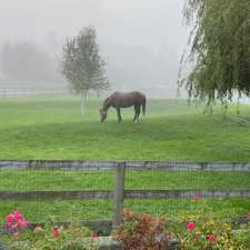 Old Southlands Stables | 3425 Celtic Ave, Vancouver, BC V6N 3X8, Canada