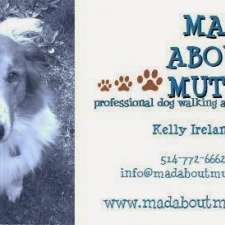 Mad About Mutts - Montreal Dog Walking & Pet Sitting | Rue West Broadway, Montréal, QC H4V 1Z9, Canada