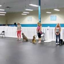 Family Dog Manners - Dog Training Services | 201 N Riverside Ave, St Clair, MI 48079, USA