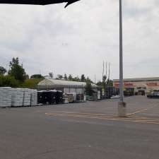 Canadian tire garden centre | 1162 Division St, Kingston, ON K7K 0C3, Canada