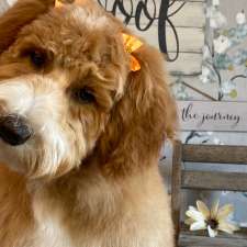 Critter Cuts Dog Grooming | 224053, Township Rd 652, Athabasca County No. 12, AB T0G 0R0, Canada
