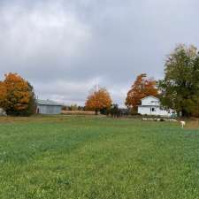 Meadow Song Acres | 8205 Line, 6, Kenilworth, ON N0G 2E0, Canada