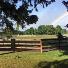 BelleVue Stables | 40 Concession Rd 15 E, Township Of Tiny, ON L9M 0N6, Canada