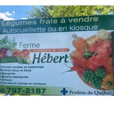 Jardin maraîcher F.Hebert | 515 Rang du Haut Corbin, Saint-Damase, QC J0H 1J0, Canada