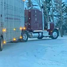 Hurum Trucking Livestock Hauling | Box 93, 5228 58 Ave, Viking, AB T0B 4N0, Canada