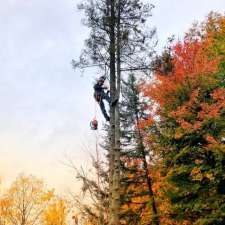 DiZler Tree Services | Line 13, Warminster, ON L0K 2G0, Canada