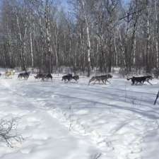 Keystone Sled Dogs | Keystone Sled Dogs, Teulon, MB R0C 3B0, Canada