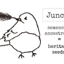 Semences Junco Seeds | 84 Chem. Lionel-Beausoleil, Lac-des-Loups, QC J0X 3K0, Canada