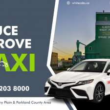 White Cabs - Spruce Grove Taxi & Stony plain Taxi | 93 McLeod Ave, Spruce Grove, AB T7X 2Z9, Canada