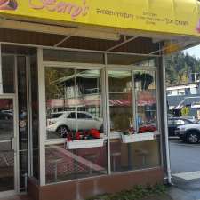 Berry's Frozen Yogurt & Ice Cream | 6685 Royal Ave, West Vancouver, BC V7W 2B8, Canada