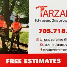 Tarzan Tree Removal, Barrie ON | 40 Yonge St N, Elmvale, ON L0L 1P0, Canada