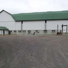 Grof Livestock | 258 Kawartha Lakes County Rd 36, Lindsay, ON K9V 4R4, Canada