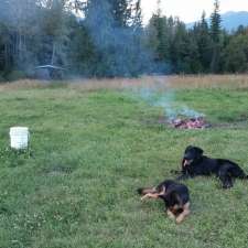 Eagle Valley Ranch Dog Grooming and Boarding | 4282 Johnson-Howard Rd, Malakwa, BC V0E 2J0, Canada