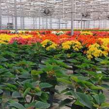 Fil Growers Limited | 18545 Keele St, Newmarket, ON L3Y 4V9, Canada