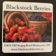 Blackstock Berries | 13451 Old Scugog Rd, Blackstock, ON L0B 1B0, Canada