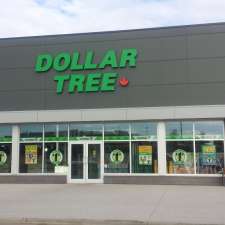 Dollar Tree | 4404 17 St NW, Edmonton, AB T6T 0C1, Canada