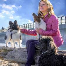 Canine Behaviour Therapy | 31 Fallingbrook Dr, 1 Laidlaw Blvd, Markham, ON M1N 1B5, Canada