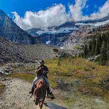 Brewsters Lake Louise Stables | 111 Lake Louise Dr, Lake Louise, AB T0L 1E0, Canada