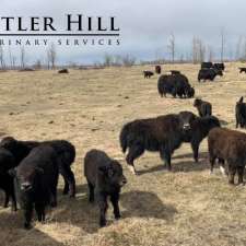 Antler Hill Veterinary Services | 9 Hawkridge Blvd #109, Penhold, AB T0M 1R0, Canada
