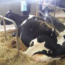 Ferme Boisblanc Holstein inc. | 651 Rte du Bois Blanc, Saint-Justin, QC J0K 2V0, Canada