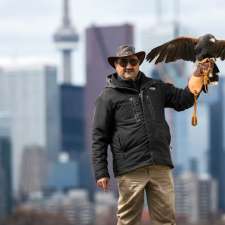 Hawkeye Bird and Animal Control & Falconry Experience Acton | 5048 erin, 1 Line, Acton, ON L7J 2L9, Canada