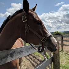 Stonewood Equestrian | 3985 16 Sideline, Claremont, ON L1Y 1A2, Canada