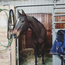 Bow Canyon Equestrian | 21825 Macleod Trail SE, De Winton, AB T0L 0X0, Canada