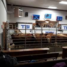 Thorsby Stockyards | 4335 50 Ave, Thorsby, AB T0C 2P0, Canada