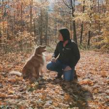 Helping Paws Professional Dog Training and Services | 202 Percy St, Waubaushene, ON L0K 2C0, Canada