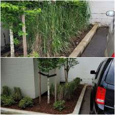 Pain In The Grass Grounds Maintenance | 46423 Cornwall Crescent, Chilliwack, BC V2P 7A8, Canada