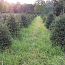 Sernoskie's Tree Farm | 760 Griffith Wagner Rd, Golden Lake, ON K0J 1X0, Canada