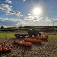 Caradoc Mountain Pumpkin farm | Glengyle Dr, Strathroy, ON N7G 3H3, Canada