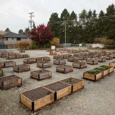 Cambie & 59th Temporary Community Garden | 7525 Cambie St, Vancouver, BC V6P 3H6, Canada