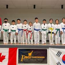 Pro Taekwondo School (St. James) | 323 Bruce Ave, Winnipeg, MB R3J 2Z3, Canada