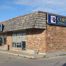 Corydon Animal Hospital | 1675 Corydon Ave, Winnipeg, MB R3N 0J8, Canada