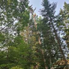Green Oak Tree Service | Rd 43 N #74086, Saint Ouens, MB R0E 0C0, Canada
