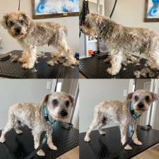 Dog Gone Gorgeous Dog Grooming | 4911 50 St, Holden, AB T0B 2C0, Canada