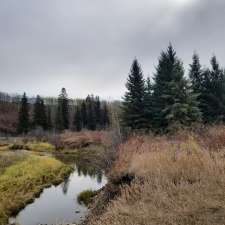 Whitemud Creek Ravine | Unnamed Road, Edmonton, AB T6R 0P9, Canada