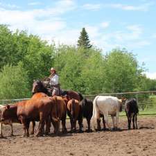 Done Roamin Horses | #577, Mundare, AB T0B 3H0, Canada