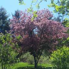 Sunny Fields, Inc. Botanical Park | 5444 Welch Rd, Emmett, MI 48022, USA